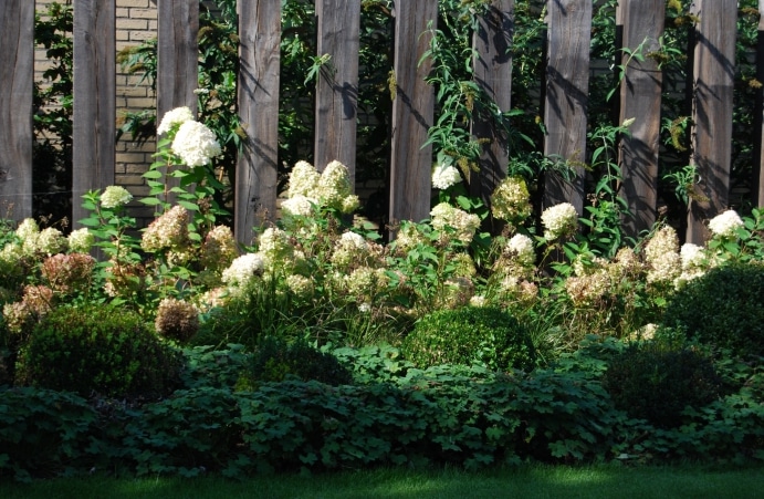 grote-groene-oase-in-de-stad-9_691x451_acf_cropped