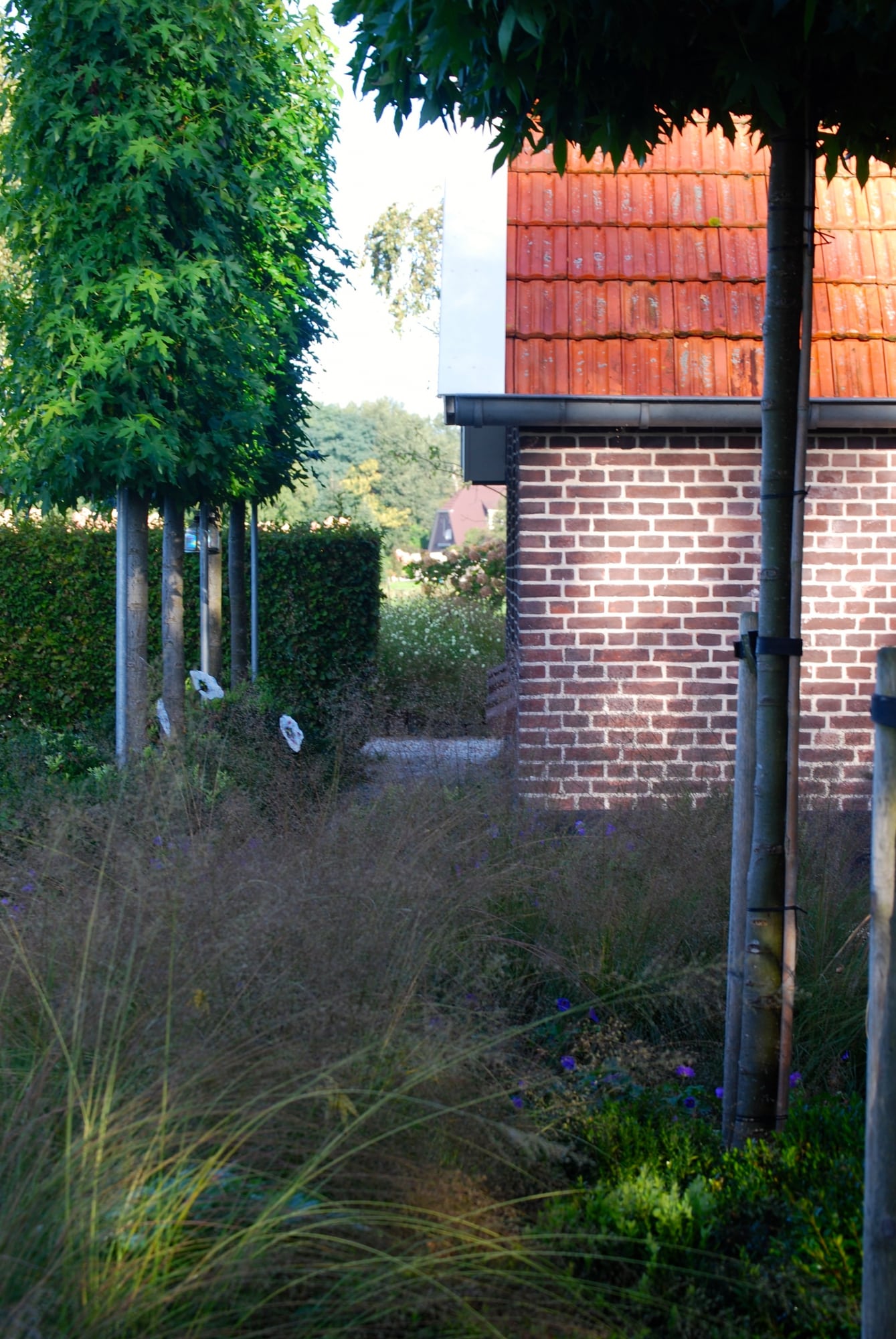kleurrijke landschapstuin 1
