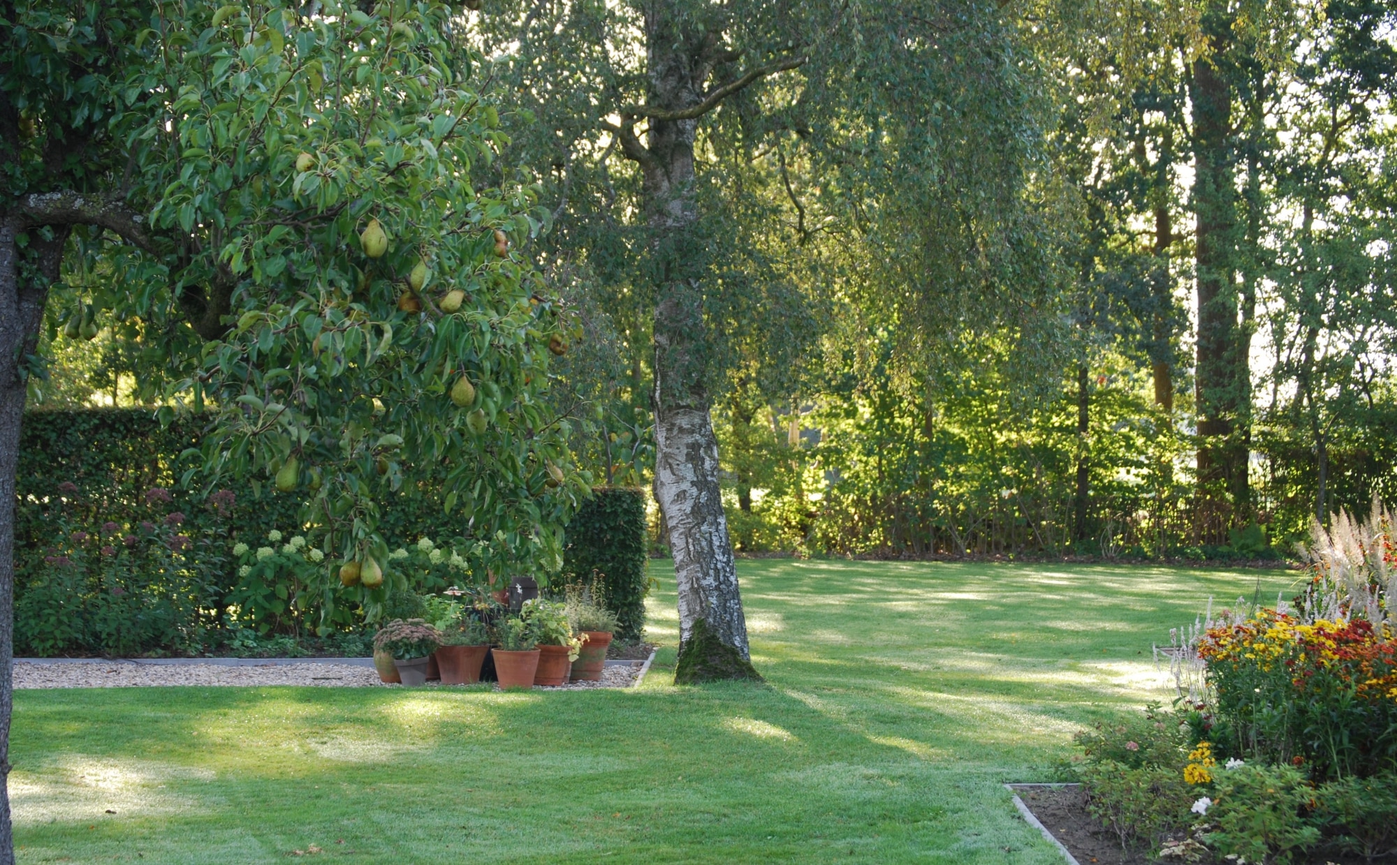kleurrijke landschapstuin 8
