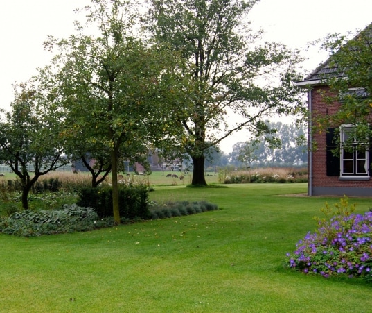 prachtige-landelijke-tuin-in-de-Achterhoek-7-1_537x451_acf_cropped