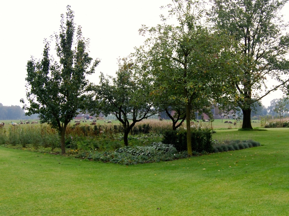 prachtige-landelijke-tuin-in-de-Achterhoek-7_960x716_acf_cropped