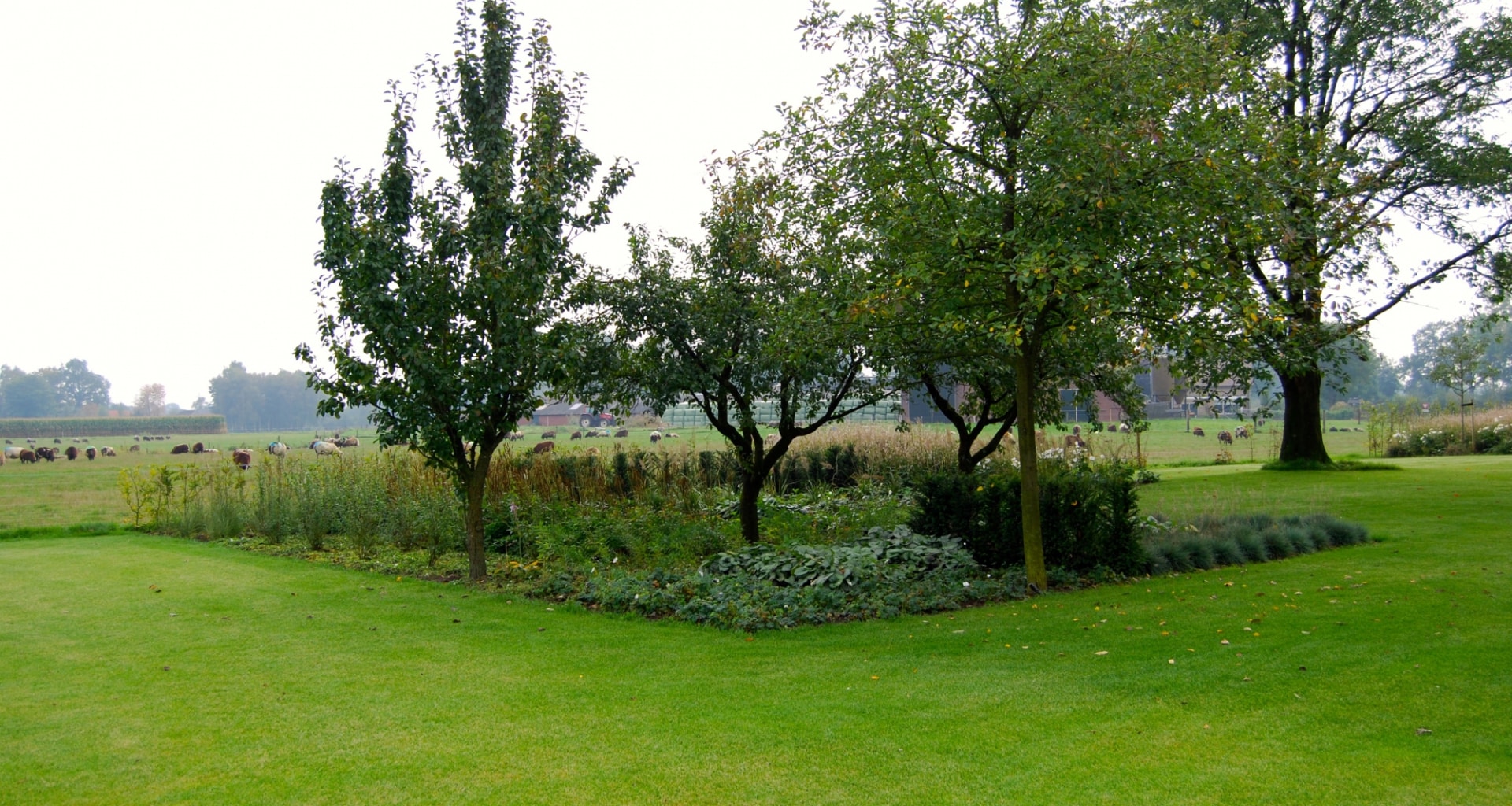 prachtige landelijke tuin in de Achterhoek (9)