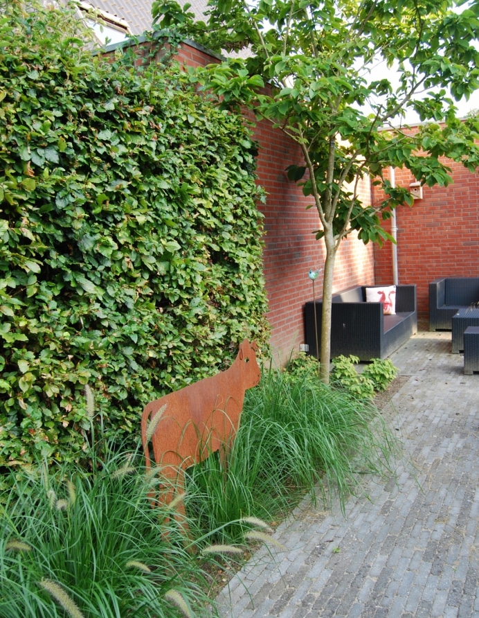 sfeervolle-stadstuin-in-Zwolle-4_692x892_acf_cropped