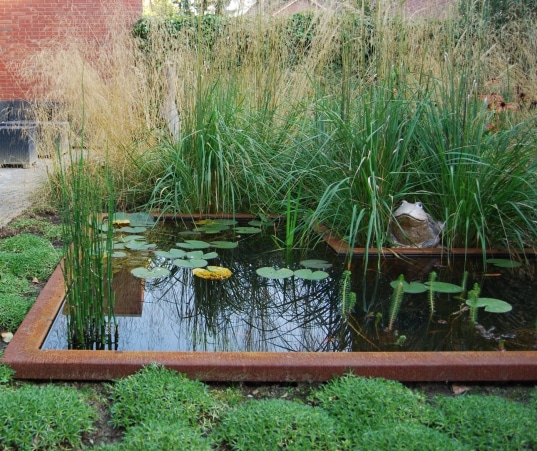 sfeervolle-stadstuin-in-Zwolle-5_537x451_acf_cropped
